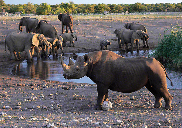 Makadi Safaris Accommodation
