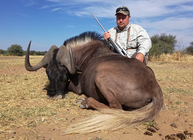 Black Wildebeest Trophy Hunting Makadi Safaris