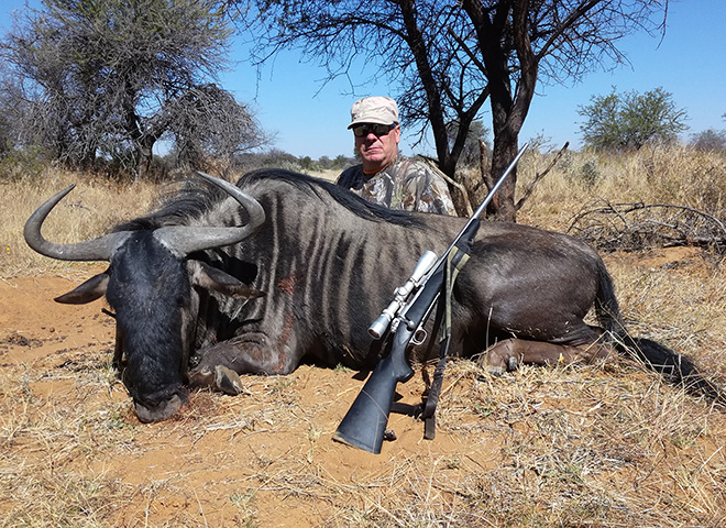 Blue Wildebeest Trophy Hunting Makadi Safaris