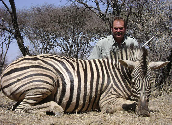 Burchell's zebra Trophy Hunting Makadi Safaris