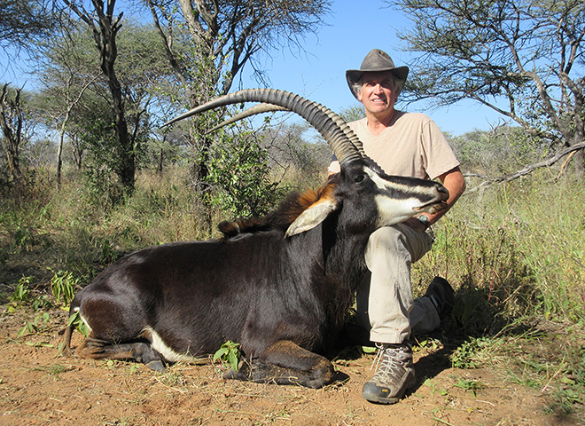 Sable Antelope Trophy Hunting Makadi Safaris